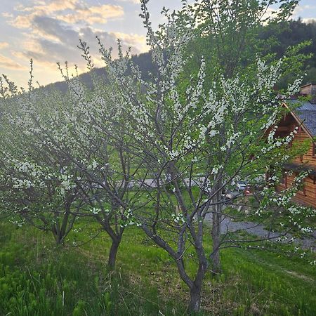Le Repaire Viking Bed and Breakfast Sainte-Rose-du-Nord Buitenkant foto